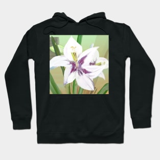 A Peacock Gladiolus Hoodie